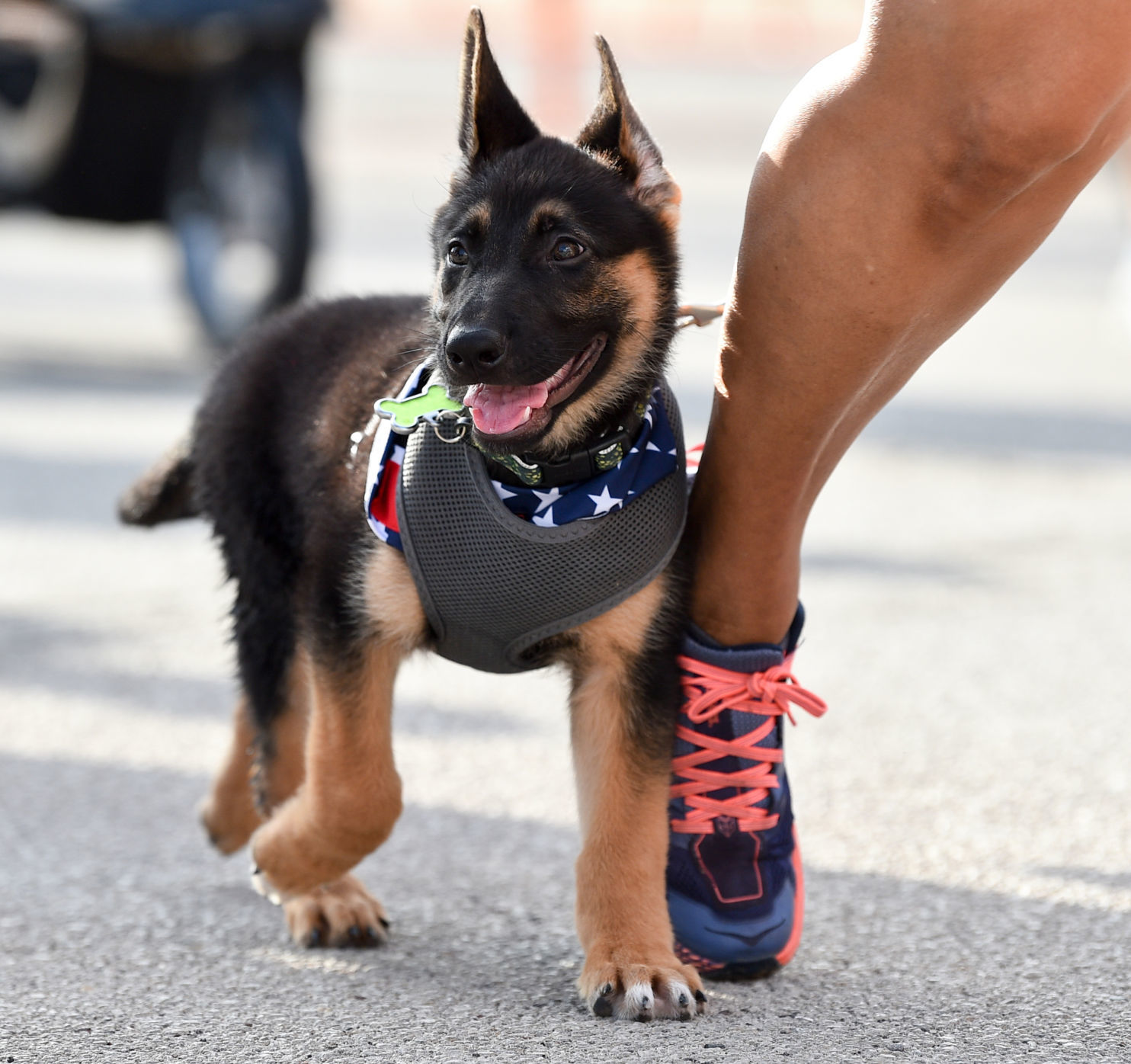070419-mda-spt-firecracker-run-018a.jpg